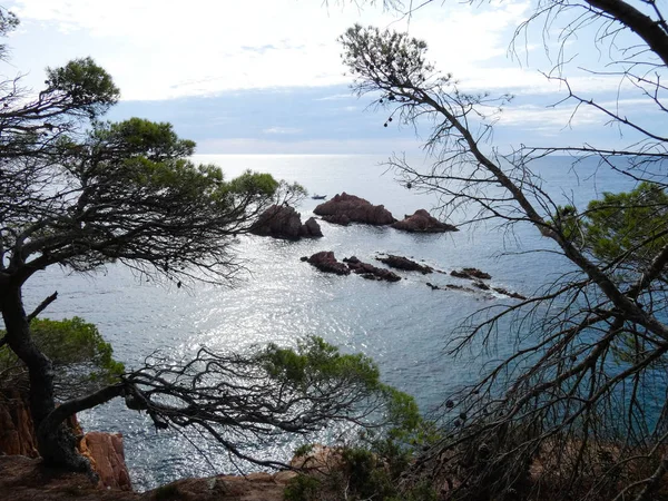 布拉瓦海岸 赫罗纳 西班牙 地中海沿岸 充满海滩和悬崖 崎岖的风景 美丽非常美丽 — 图库照片