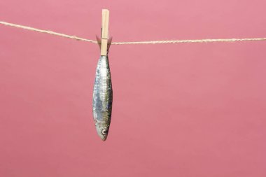 Sardalya balıkçılarda kolayca bulunan bir balıktır, Akdeniz 'de genellikle avlanır ve Akdeniz diyetinde yaygın olarak görülür, sağlıklı ve omega dolu.