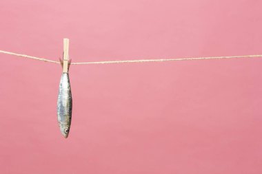 Sardalya balıkçılarda kolayca bulunan bir balıktır, Akdeniz 'de genellikle avlanır ve Akdeniz diyetinde yaygın olarak görülür, sağlıklı ve omega dolu.