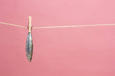 Sardalya balıkçılarda kolayca bulunan bir balıktır, Akdeniz 'de genellikle avlanır ve Akdeniz diyetinde yaygın olarak görülür, sağlıklı ve omega dolu.