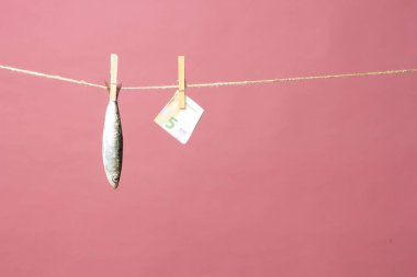 Sardalya balıkçılarda kolayca bulunan bir balıktır, Akdeniz 'de genellikle avlanır ve Akdeniz diyetinde yaygın olarak görülür, sağlıklı ve omega dolu.