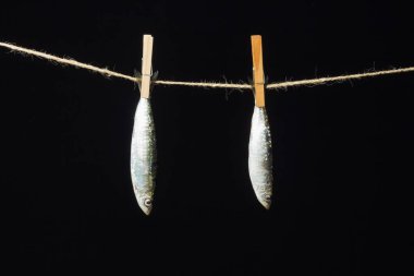 Sardalya balıkçılarda kolayca bulunan bir balıktır, Akdeniz 'de genellikle avlanır ve Akdeniz diyetinde yaygın olarak görülür, sağlıklı ve omega dolu.