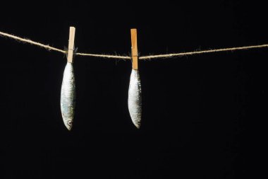 Sardalya balıkçılarda kolayca bulunan bir balıktır, Akdeniz 'de genellikle avlanır ve Akdeniz diyetinde yaygın olarak görülür, sağlıklı ve omega dolu.