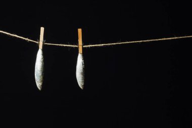 Sardalya balıkçılarda kolayca bulunan bir balıktır, Akdeniz 'de genellikle avlanır ve Akdeniz diyetinde yaygın olarak görülür, sağlıklı ve omega dolu.