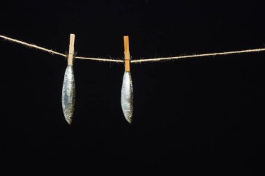 Sardalya balıkçılarda kolayca bulunan bir balıktır, Akdeniz 'de genellikle avlanır ve Akdeniz diyetinde yaygın olarak görülür, sağlıklı ve omega dolu.