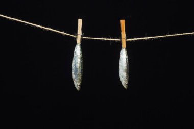 Sardalya balıkçılarda kolayca bulunan bir balıktır, Akdeniz 'de genellikle avlanır ve Akdeniz diyetinde yaygın olarak görülür, sağlıklı ve omega dolu.