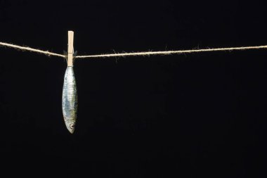 Sardalya balıkçılarda kolayca bulunan bir balıktır, Akdeniz 'de genellikle avlanır ve Akdeniz diyetinde yaygın olarak görülür, sağlıklı ve omega dolu.