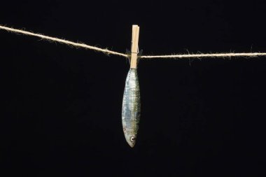 Sardalya balıkçılarda kolayca bulunan bir balıktır, Akdeniz 'de genellikle avlanır ve Akdeniz diyetinde yaygın olarak görülür, sağlıklı ve omega dolu.