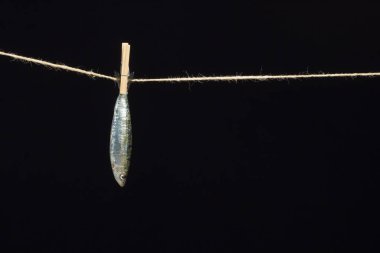 Sardalya balıkçılarda kolayca bulunan bir balıktır, Akdeniz 'de genellikle avlanır ve Akdeniz diyetinde yaygın olarak görülür, sağlıklı ve omega dolu.