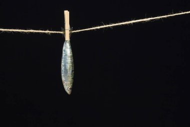 Sardalya balıkçılarda kolayca bulunan bir balıktır, Akdeniz 'de genellikle avlanır ve Akdeniz diyetinde yaygın olarak görülür, sağlıklı ve omega dolu.