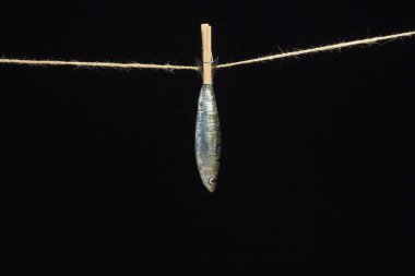 Sardalya balıkçılarda kolayca bulunan bir balıktır, Akdeniz 'de genellikle avlanır ve Akdeniz diyetinde yaygın olarak görülür, sağlıklı ve omega dolu.