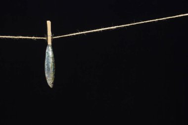 Sardalya balıkçılarda kolayca bulunan bir balıktır, Akdeniz 'de genellikle avlanır ve Akdeniz diyetinde yaygın olarak görülür, sağlıklı ve omega dolu.