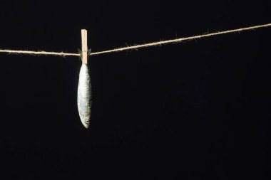 Sardalya balıkçılarda kolayca bulunan bir balıktır, Akdeniz 'de genellikle avlanır ve Akdeniz diyetinde yaygın olarak görülür, sağlıklı ve omega dolu.