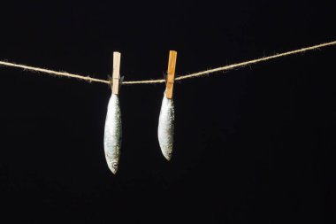 Sardalya balıkçılarda kolayca bulunan bir balıktır, Akdeniz 'de genellikle avlanır ve Akdeniz diyetinde yaygın olarak görülür, sağlıklı ve omega dolu.