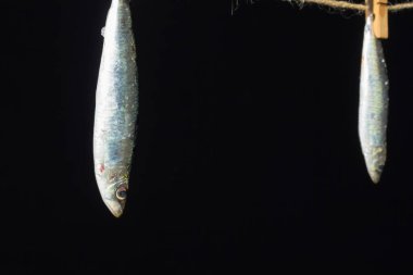 Sardalya balıkçılarda kolayca bulunan bir balıktır, Akdeniz 'de genellikle avlanır ve Akdeniz diyetinde yaygın olarak görülür, sağlıklı ve omega dolu.