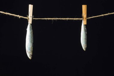 Sardalya balıkçılarda kolayca bulunan bir balıktır, Akdeniz 'de genellikle avlanır ve Akdeniz diyetinde yaygın olarak görülür, sağlıklı ve omega dolu.