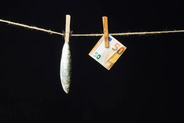 Sardina Pez Que Encuentra Fácilmente Las Pescaderías Por General Pesca — Foto de Stock