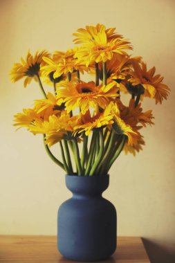 Gerbera çiçekleri papatya sarı rengi çok hoş ve güzelsiniz.
