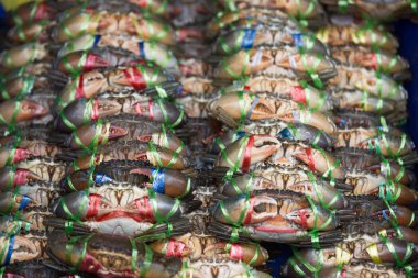 Taze deniz yengeçler taze yerel deniz ürünleri pazarında