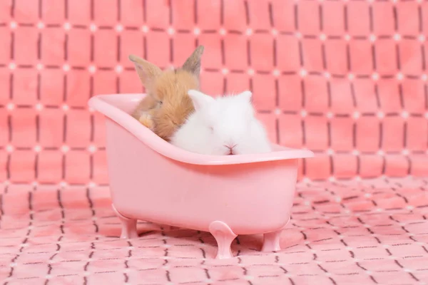 스러운 욕조에 목욕에 분홍색 배경으로 — 스톡 사진