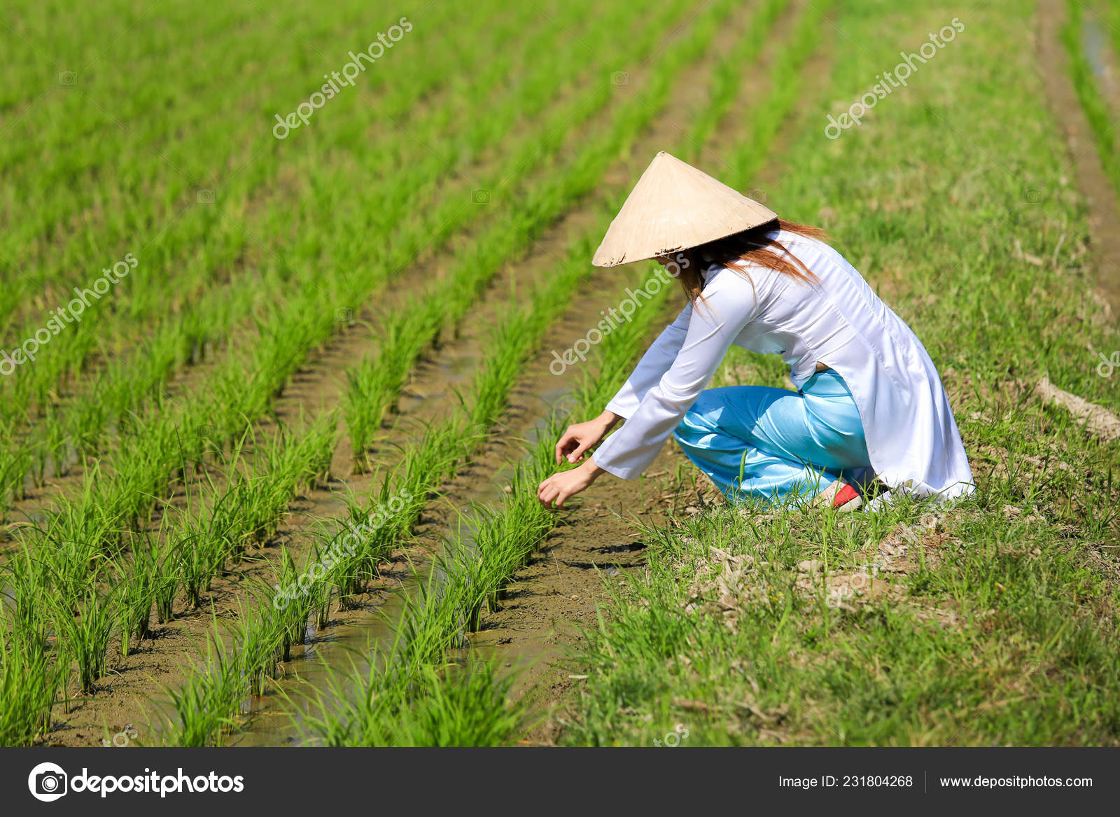 Vietnamese Rice Farmer Hat Cheaper Than Retail Price Buy Clothing Accessories And Lifestyle Products For Women Men - rice farmer roblox id