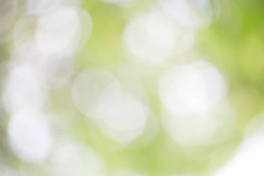 Arka plan için renkli daireler ışıklarla bokeh