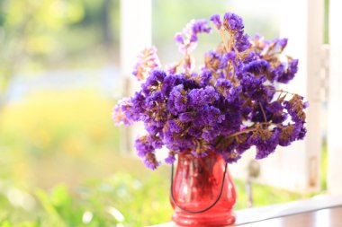 Limonium sinuatum Statice Salem çiçekler, menekşe minik çiçekler vazoda, portre 