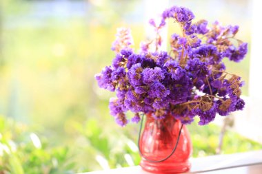 Limonium sinuatum Statice Salem çiçekler, menekşe minik çiçekler vazoda, portre 