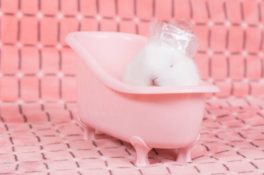 Pembe bez arka plan banyo olarak genç bebek tavşan pembe banyo küvet. 3 hafta eski küçük tüylü tavşan