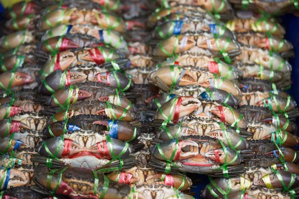 Taze deniz yengeçler taze yerel deniz ürünleri pazarında