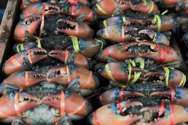 Fresh sea crabs in fresh local seafood market