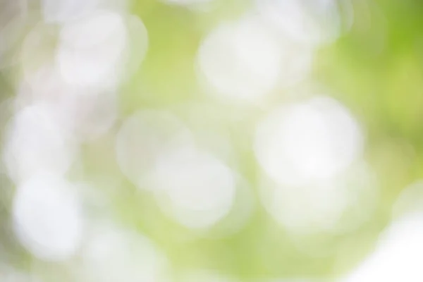 Arka plan için renkli daireler ışıklarla bokeh