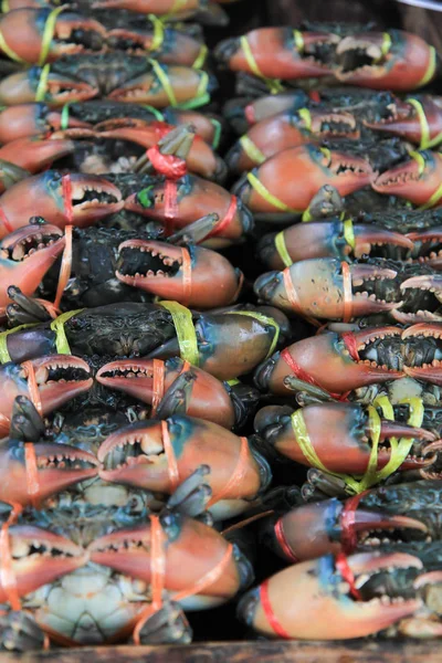 Taze deniz yengeçler taze yerel deniz ürünleri pazarında