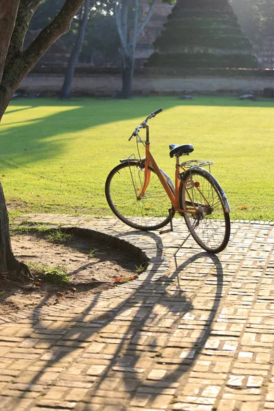 Gündüz ağacın altında Şehir Parkı içinde bisiklet park 