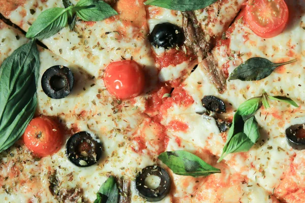 Anchovy think yummy pizza, Italian famous dish with salty fish, black olives, red cherry tomatoes, Parmesan cheese and oregano as ingredients