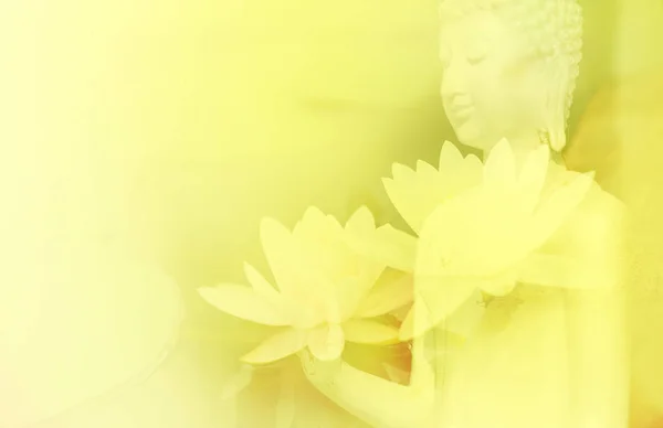 Nahaufnahme Von Blühenden Lotusblumen Natur Hintergrund — Stockfoto
