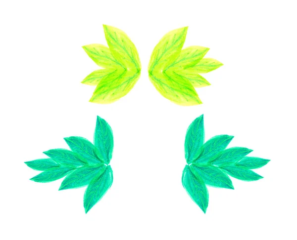 Handgezeichnete Grüne Blätter Auf Weißem Hintergrund — Stockfoto