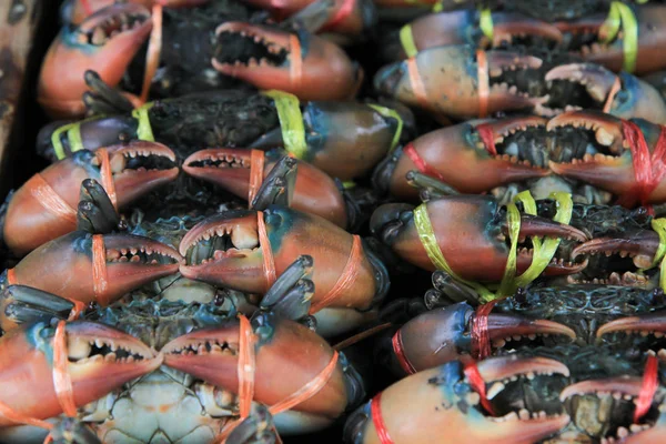 Fresh Sea Crabs Fresh Local Seafood Market — Stock Photo, Image