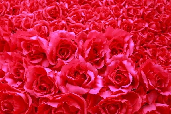 聖バレンタインデーとしての愛のための赤いバラ コンセプトを祝うための背景や背景として赤い花のフルスクリーン — ストック写真