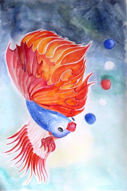 Illustration of Siamese fighting fish on paper by color pencil and watercolor technique.  Siamese fighting fish swimming in water clipart