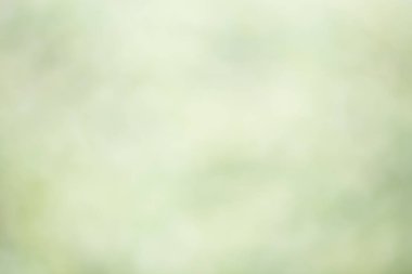 Yeşil taze ve güzel bokeh ışıkları