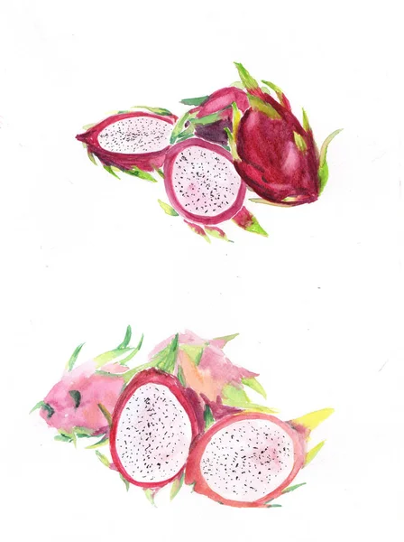 Akwarela Grupy Owoców Smoka Ręczne Malowanie Czerwonych Soczystych Owoców Azjatyckich — Zdjęcie stockowe