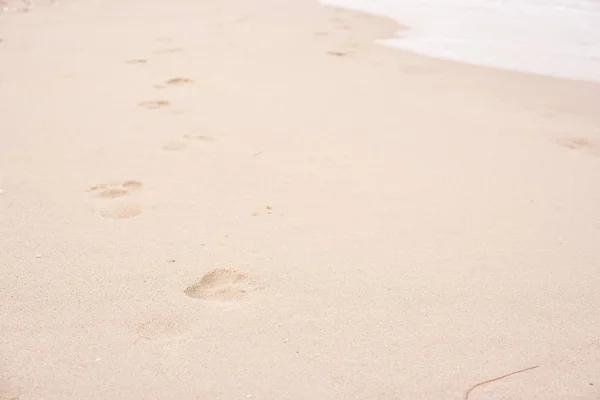 Adult foot print on sand and beach near sea water. Foot mark stepped on sea shore with soft sand