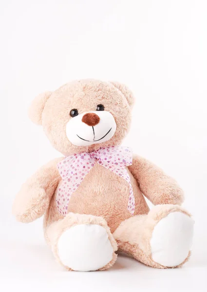 Lovely Brown Cloth Bear Sitting White Background Lovely Adorable Toy — Stock Photo, Image