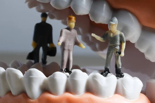 Miniature people or small figures cleaning teeth model as medical and healthcare concept. Cleaning team work on teeth model for dental or dentist idea
