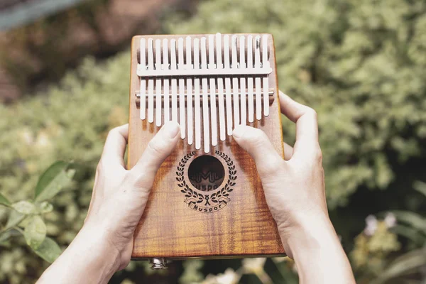 Kalimba Mbira Instrumento Musical Africano Tradicional Para Povo Shona Zimbabué — Fotografia de Stock