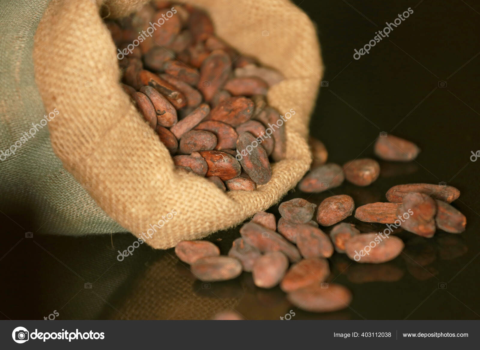 Cacao Fruits Cacao Seeds Preparing Baking Coco Milk Coco Chocolate