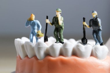 Minyatür insanlar ya da diş temizleyen küçük işçi figürleri tıbbi ve sağlık hizmetleri konsepti olarak kullanılıyor. Temizlik ekibi diş veya diş hekimi fikri üzerinde çalışıyor.