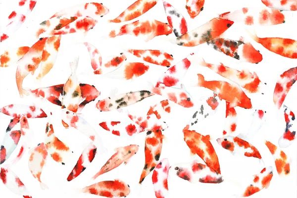 Peces Japoneses Coloridos Acuarela Pintura Sobre Papel Muchos Tipos Peces —  Fotos de Stock