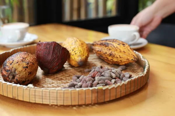 Cacao fruits and cacao seeds preparing to baking coco milk and coco chocolate bar